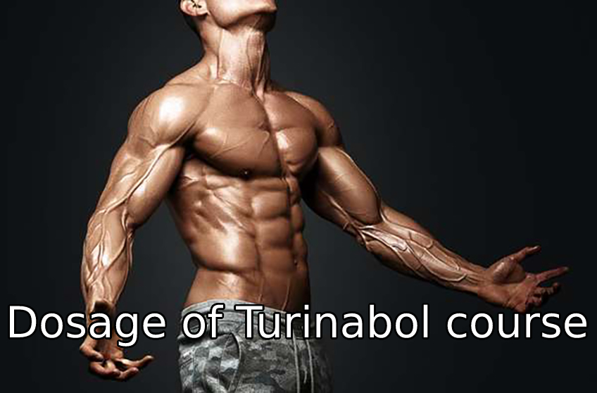 Dosage of Turinabol course